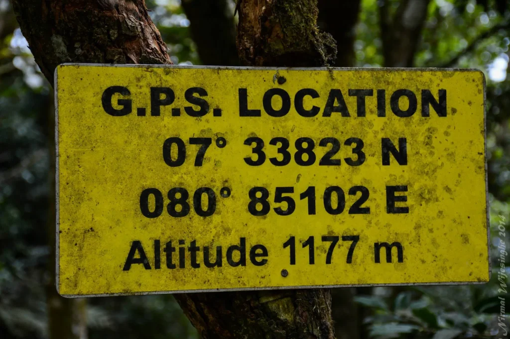 dothalugala nature trail gps cordinates