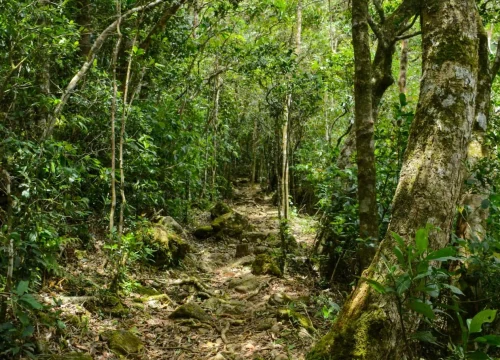 dothalugala nature trail