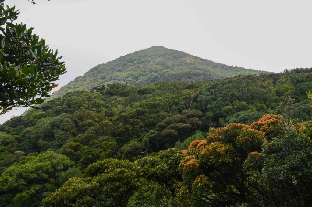 knuckles peaks mountain view hikes in kandy