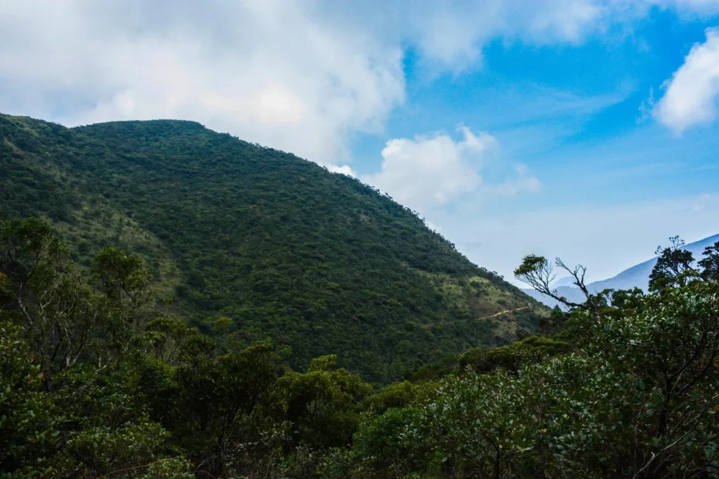 dothalugala nature trail mountain view