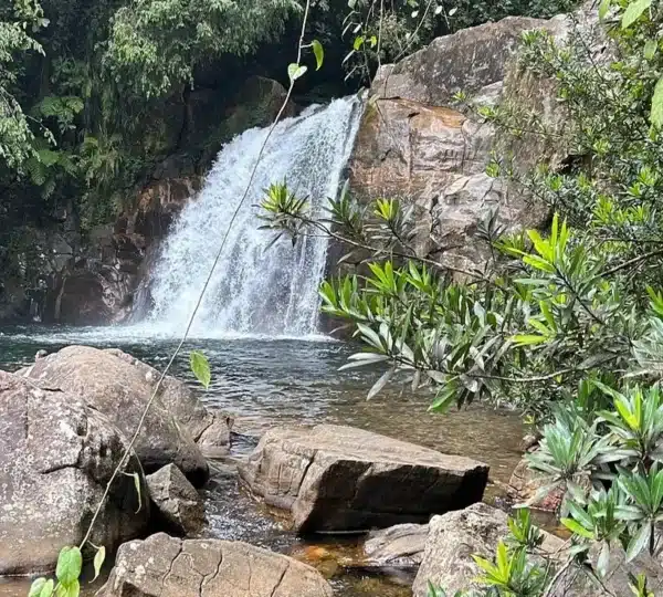 sinharaja forest reserve