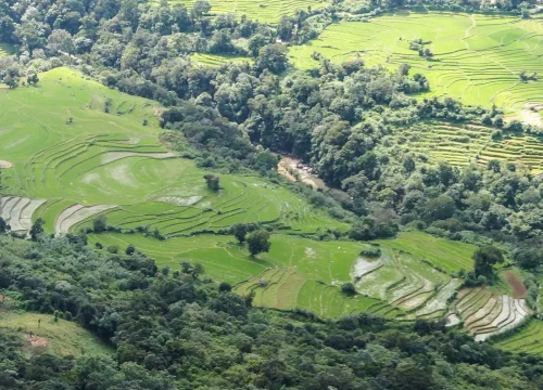 view from manigala mountain in knuckles mountain range