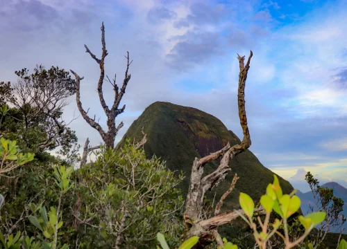 The knuckles mountain range