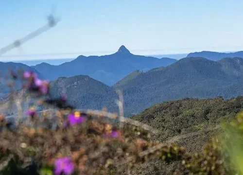 view from kirigalpoththa mountain trail
