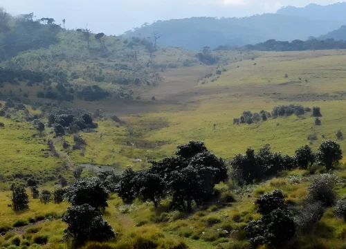 kirigalpoththa mountain trail