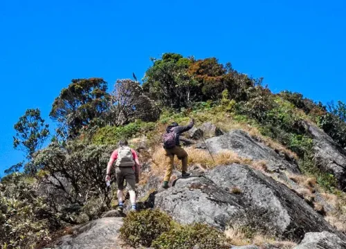 kirigalpoththa mountain trail