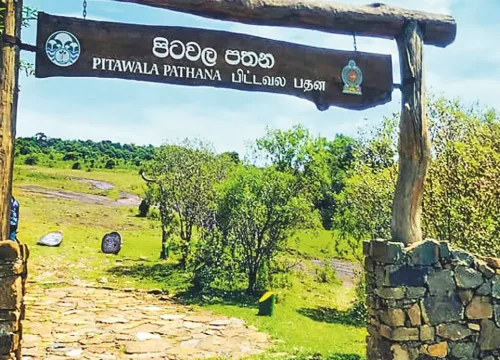 pitawala pathana entrance gate