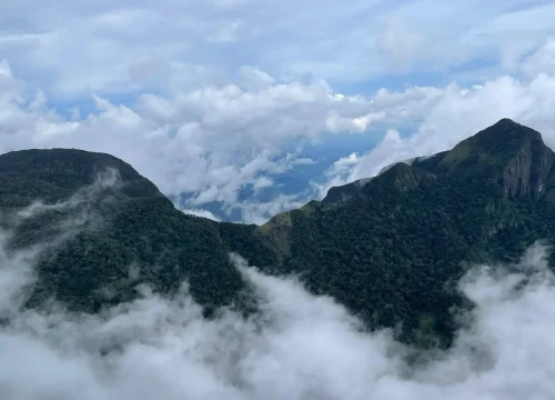 thotupola kanda nature trail horton plains