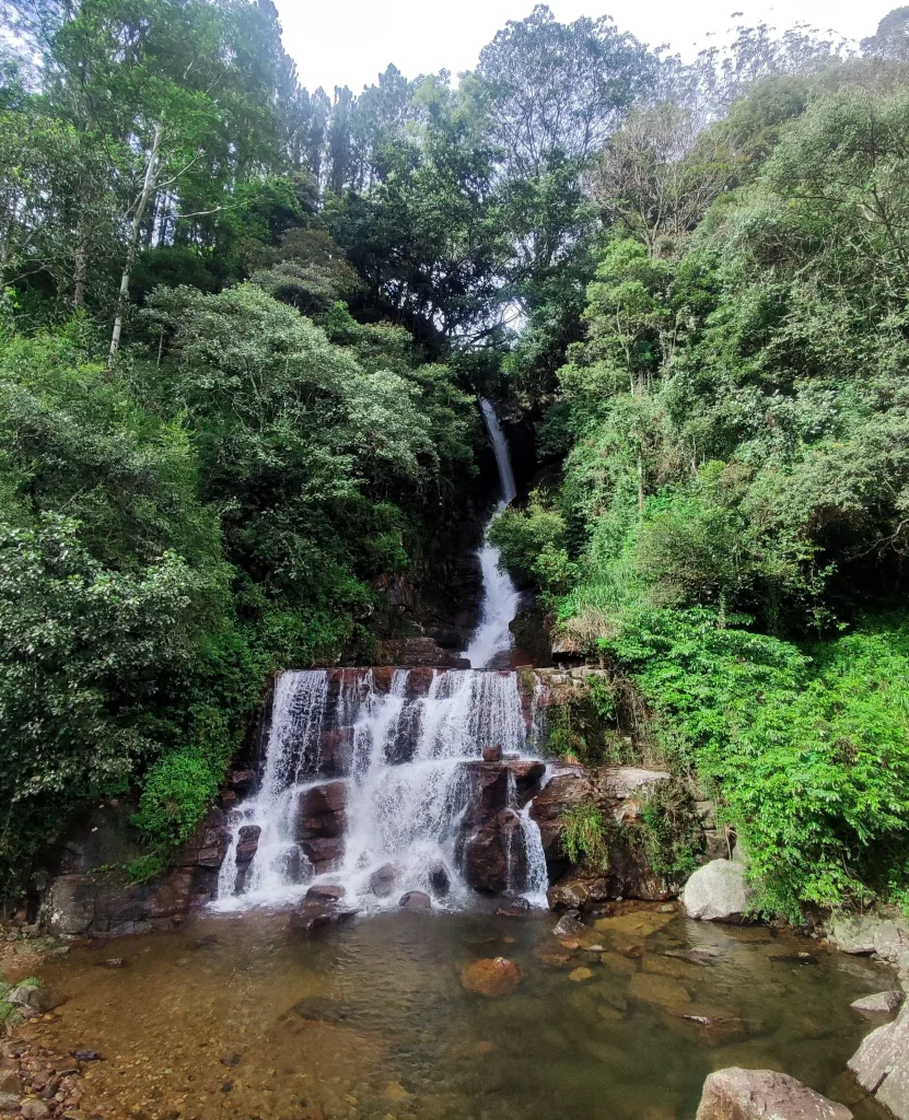 saree waterfall knuckles mountain range