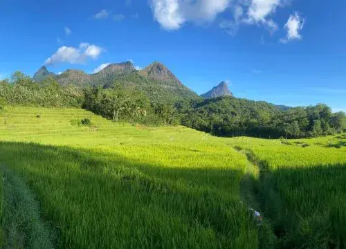 knuckles range hiking sri lanka meemure village
