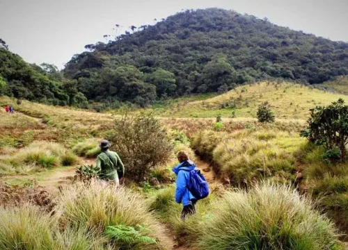 kirigalpoththa mountain trail
