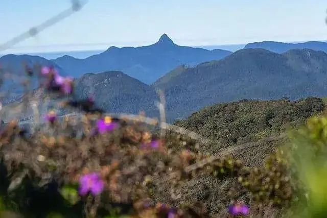 things to do in nuwara eliya