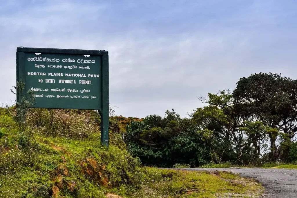 thotupola mountain things to do in nuwara eliya