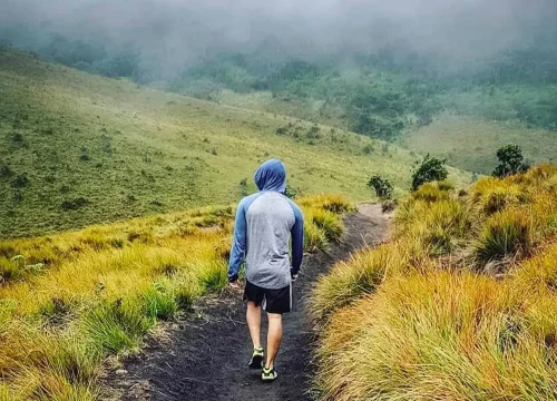 Horton Plains Adventure Guide: Amazing UNESCO Heritage Hiking Experience