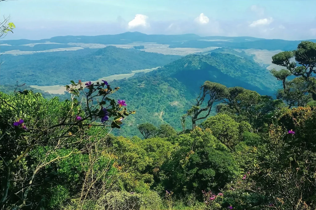 kirigalpoththa mountain nuwara eliya hike