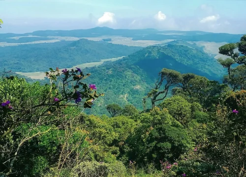Kirigalpoththa Mountain Hike: Epic Hiking Guide for Hidden Peak