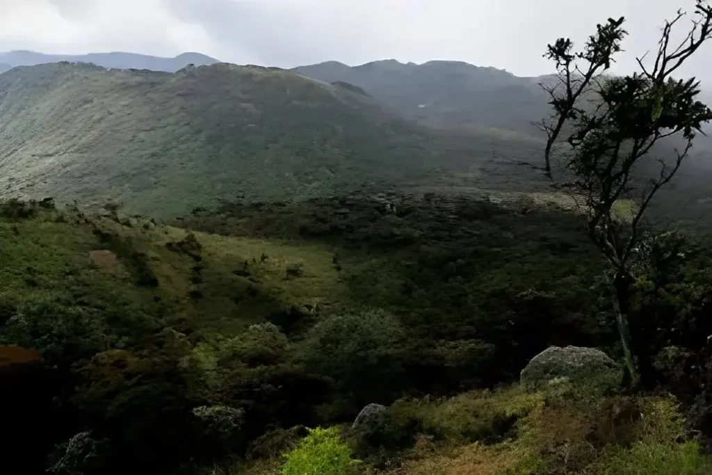 thotupola mountain things to do in nuwara eliya