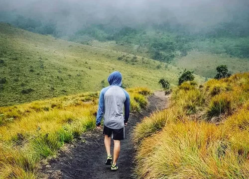 hortain plain national park