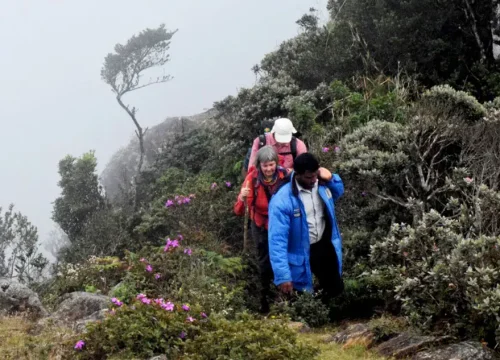 kirigalpoththa mountain trail