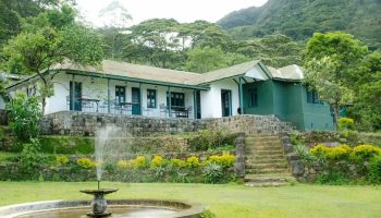 Ultimate Guide to Hotels in Knuckles Range: Find Your Perfect Stay