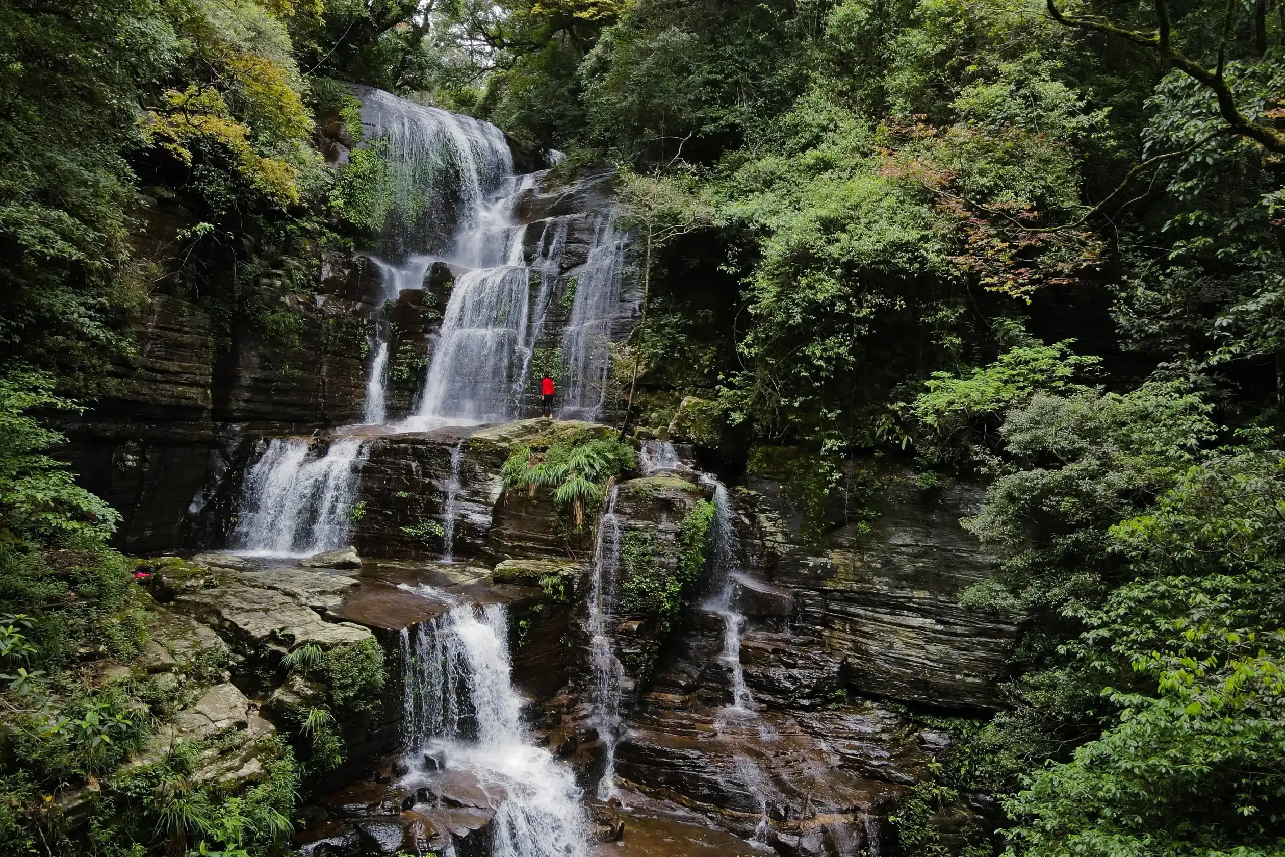 knuckles range hiking hidden waterfall inside forest