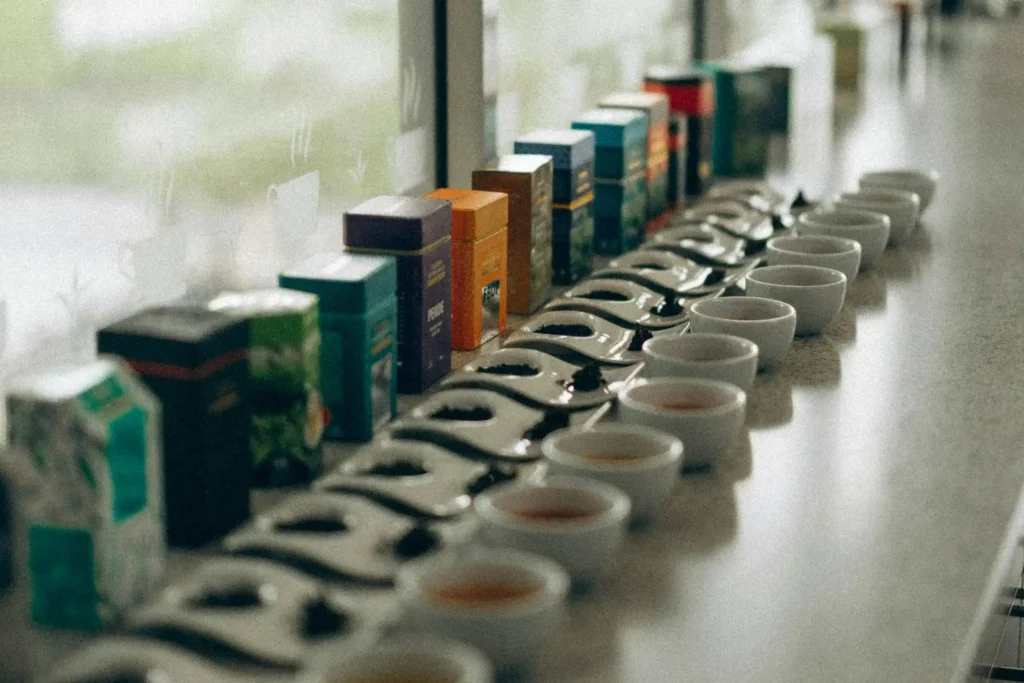 tea factory visit things to do in nuwara eliya