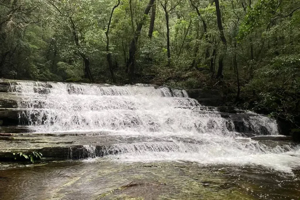 waterfall in knuckles mountain range