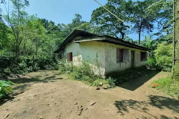 old cardamom hut located in knuckles mountain range