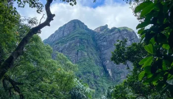 Amazing Hikes in Kandy: Ultimate Guide to Sri Lanka’s Best Mountain Trails