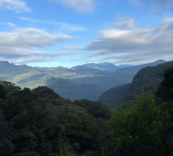 duwili waterfalls view
