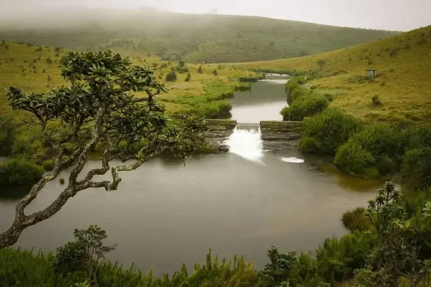 nuwara eliya sightseeing horton plains national park 