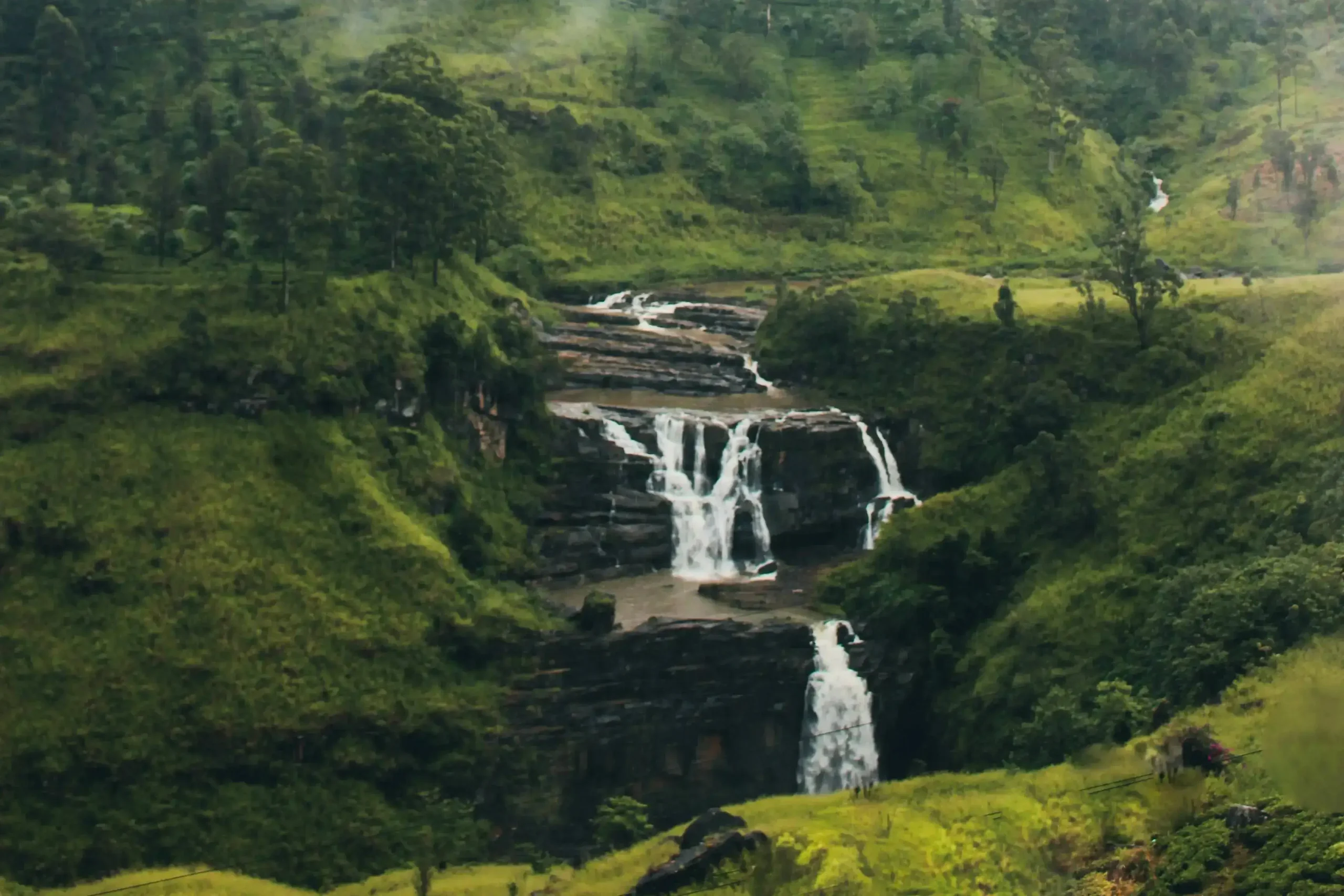 nuwara eliya sightseeing