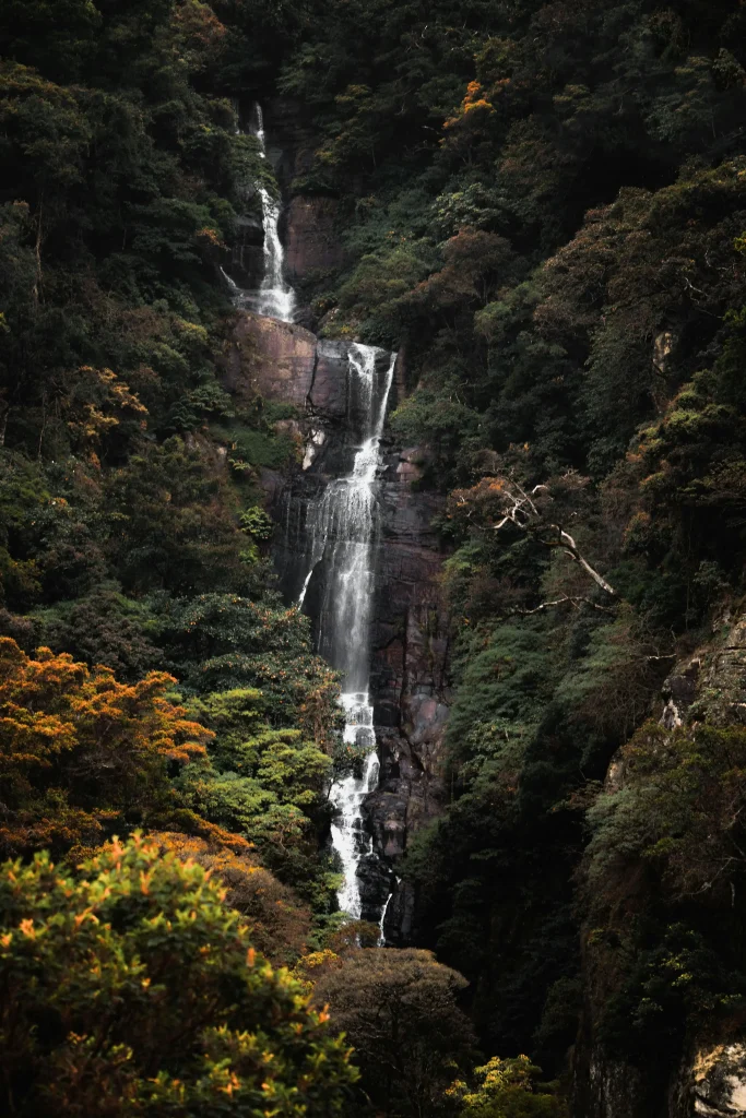 waterfall in the forest with misty sri lanka weather 