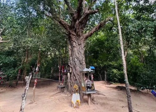Kebiliththa Tours