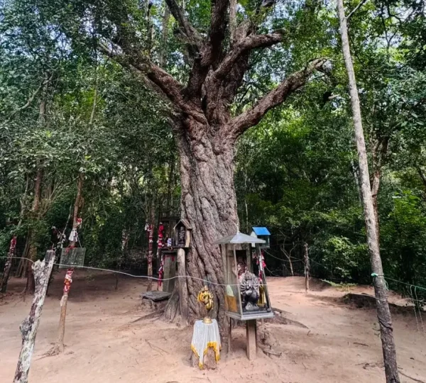 kebiliththa dewalaya