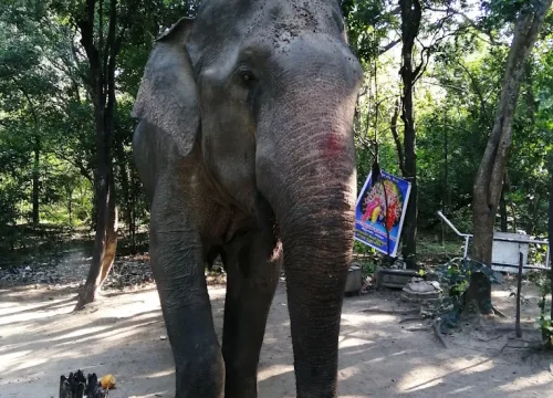 kebiliththa dewalaya