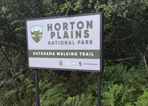 Pekoe Trail Stage 10