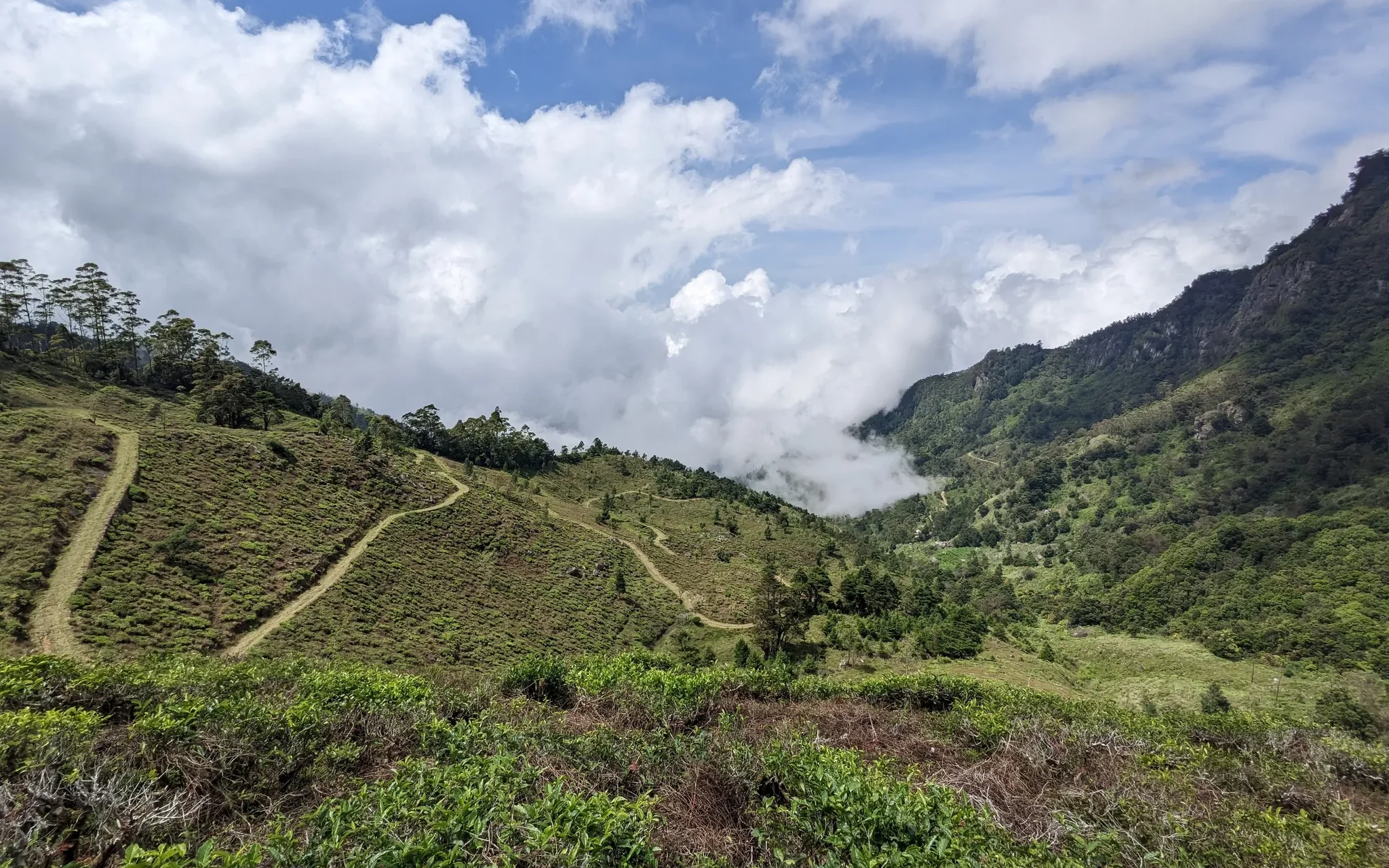 The Ultimate Pekoe Trail Stage 11 and 12