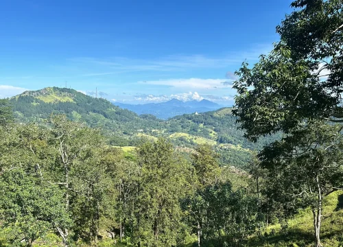 Pekoe Trail Stage Guide: First 7 Stages Explained