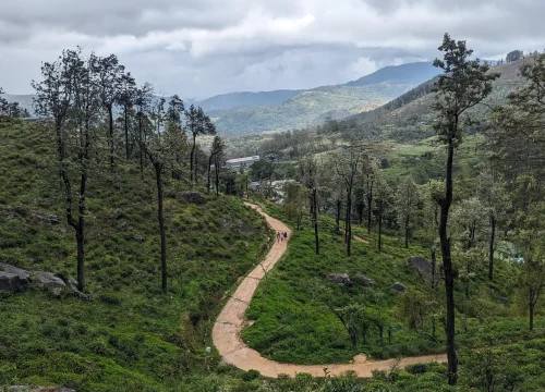 Pekoe Trail Stage 2 & 3