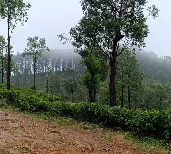 sri lanka trek