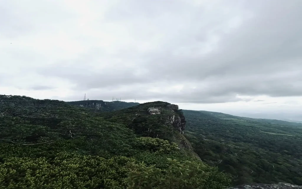 sinharaja forest reserve gongala mountain