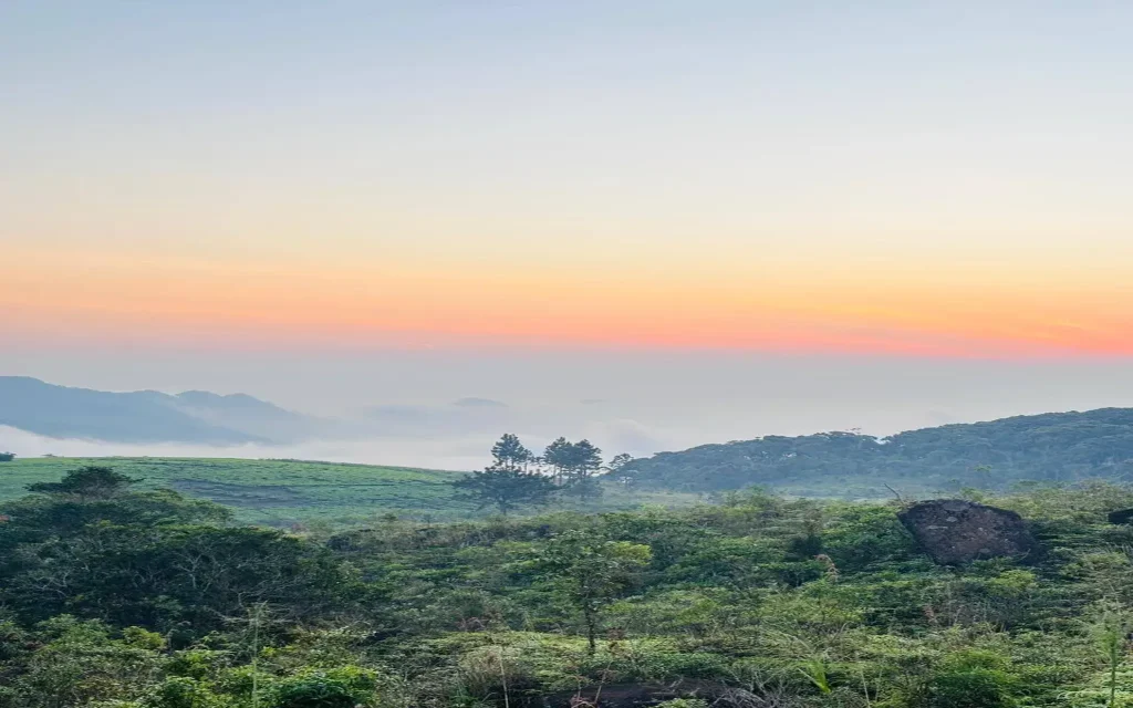 sinharaja forest reserve gongala mountain
