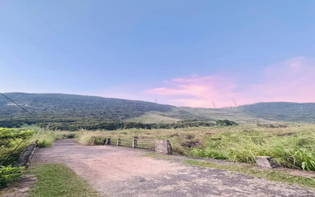 sinharaja forest reserve gongala mountain