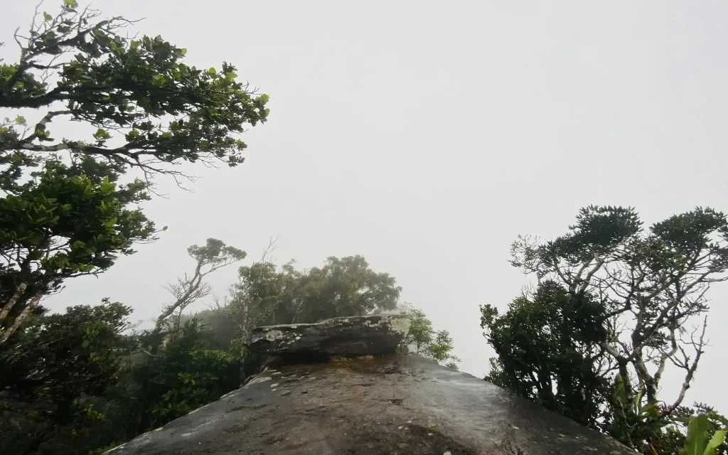 sinharaja forest reserve gongala mountain