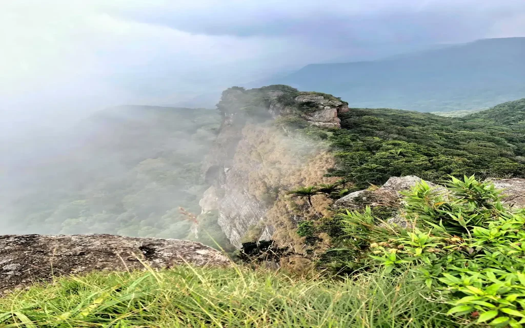 sinharaja forest reserve gongala mountain