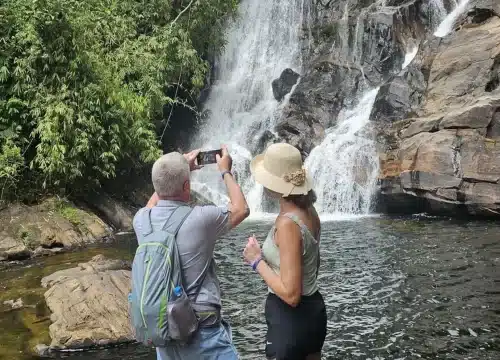 sinharaja rainforest guided tour