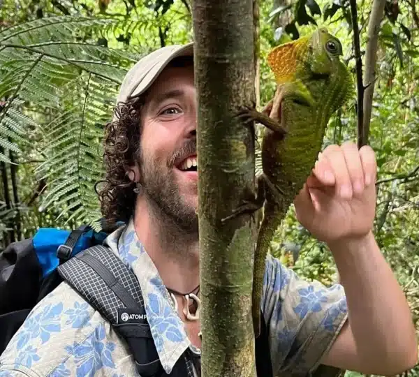 lizard in sinharaja rainforest sri lanka