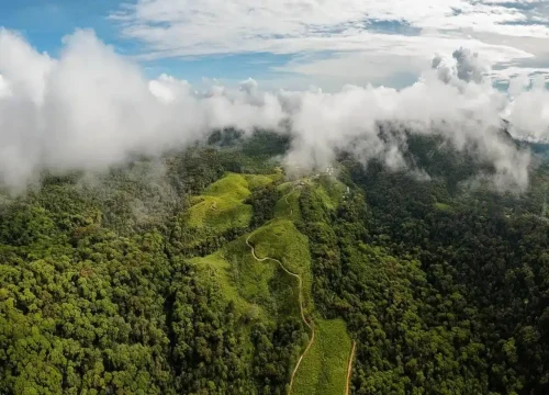 sinharaja rainforest guided tour