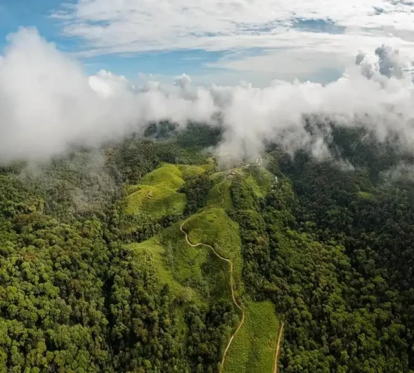 sinharaja rainforest guided tour